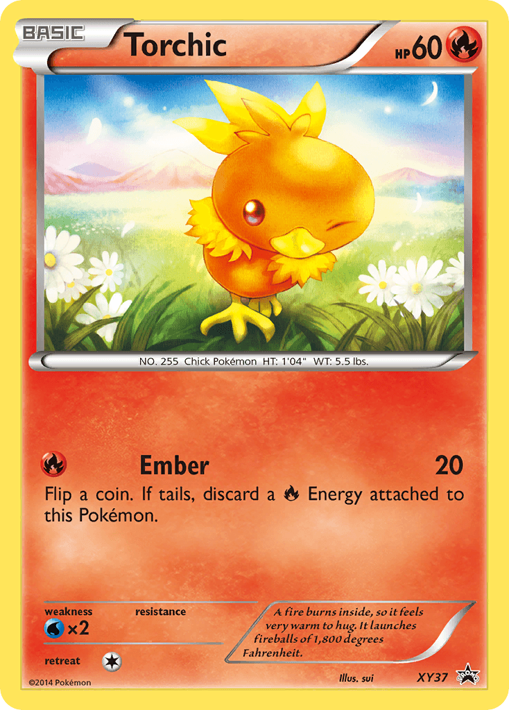 Torchic - XY37